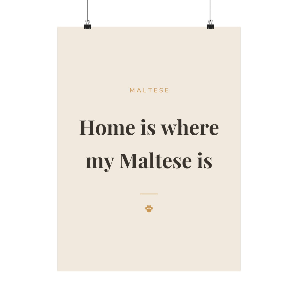Maltese Art Print — Home is where my Maltese is