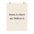 Maltese Art Print — Home is where my Maltese is