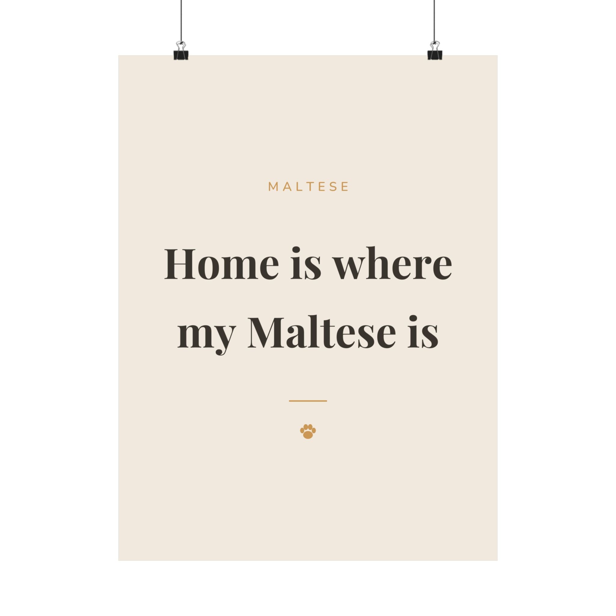 Maltese Art Print — Home is where my Maltese is