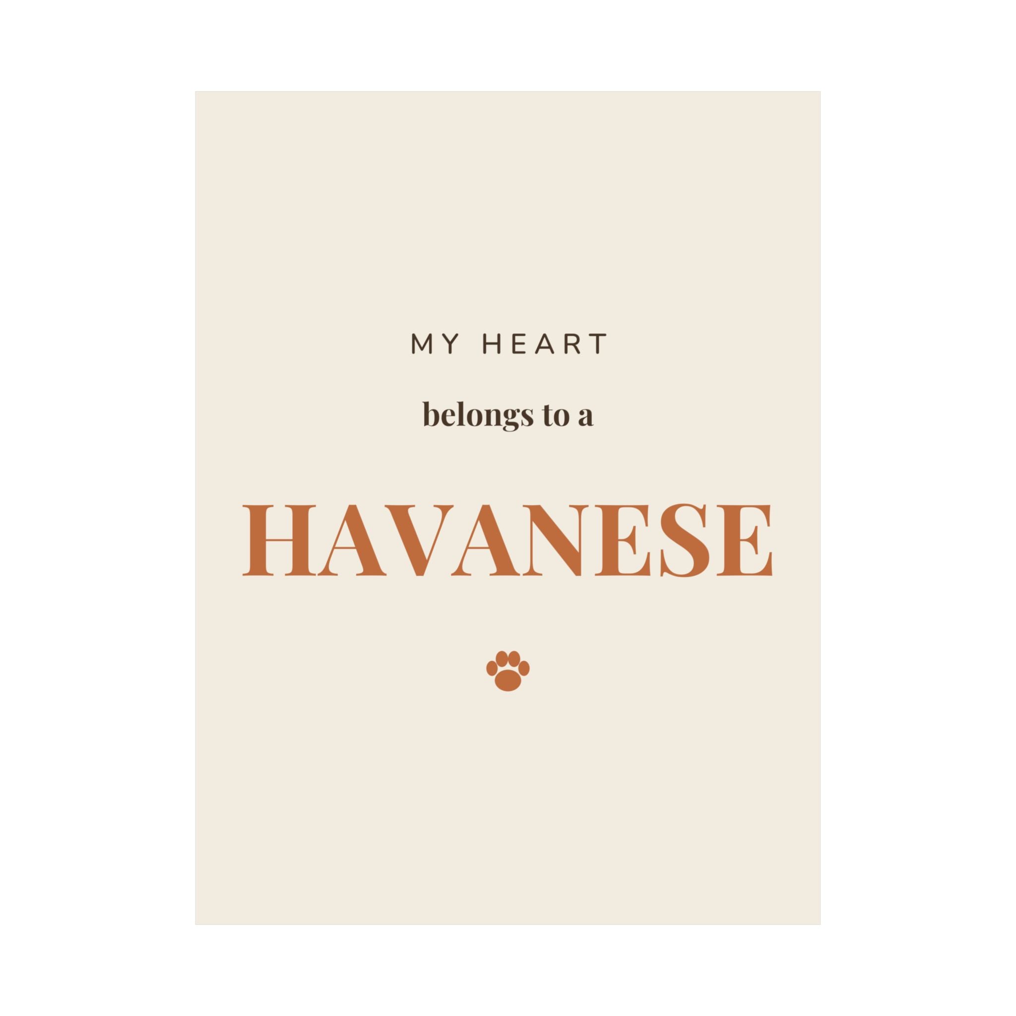 Havanese Art Print — My heart belongs to a Havanese