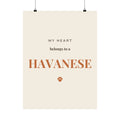 Havanese Art Print — My heart belongs to a Havanese