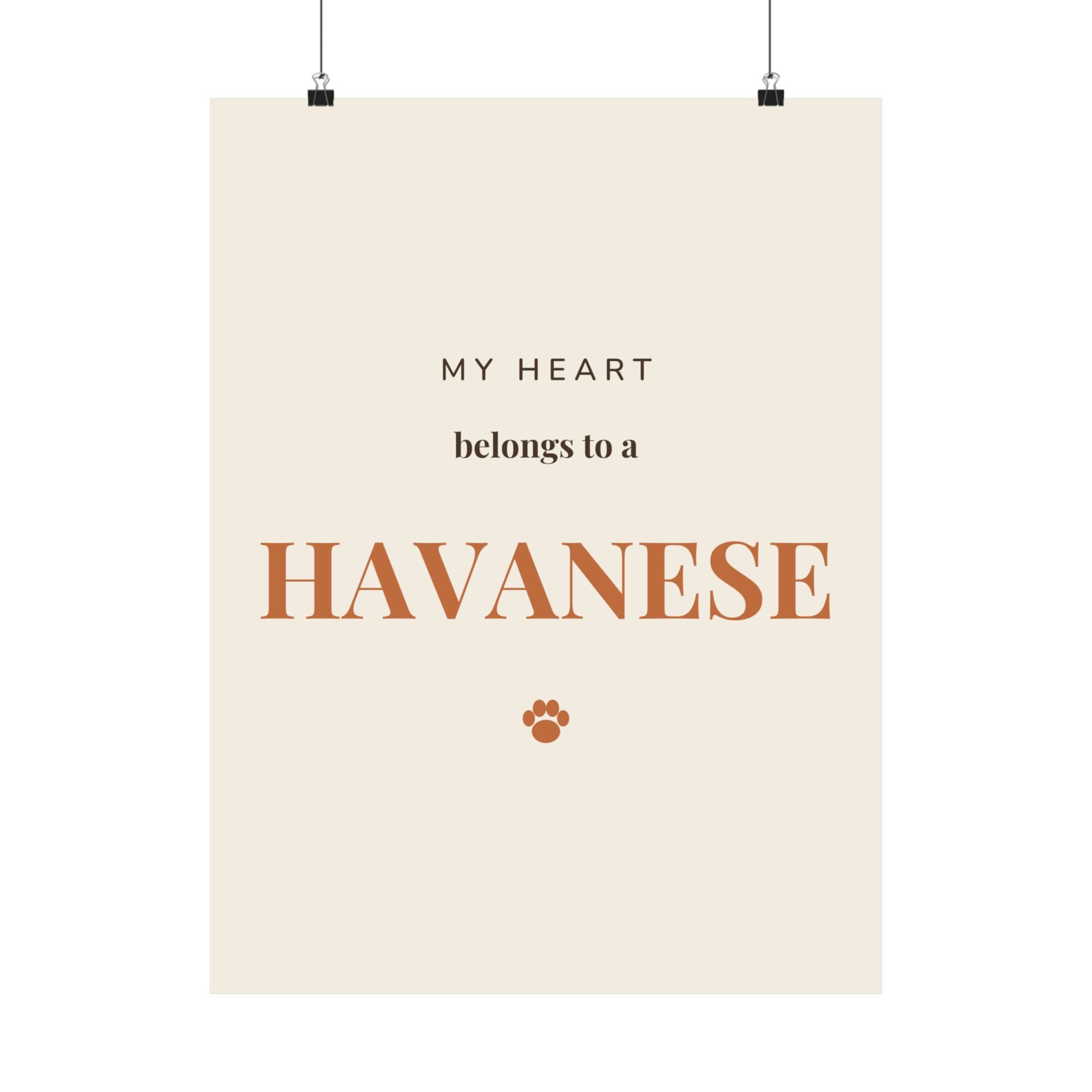 Havanese Art Print — My heart belongs to a Havanese