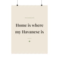 Havanese Art Print — Home is where my Havanese is