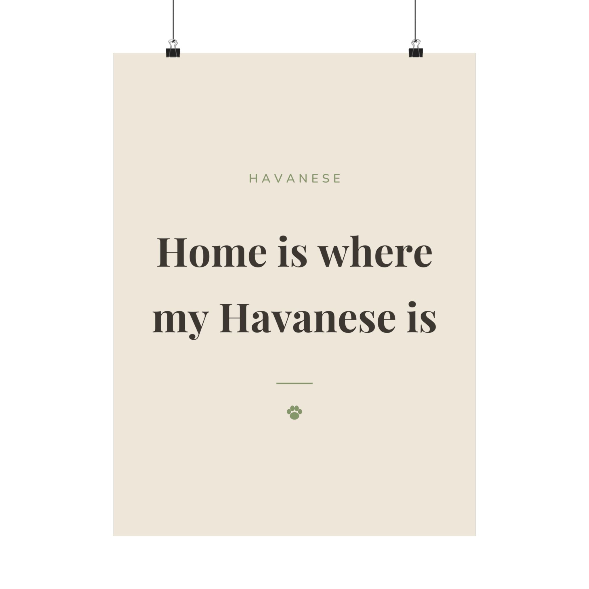 Havanese Art Print — Home is where my Havanese is
