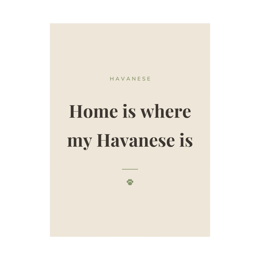 Havanese Art Print — Home is where my Havanese is