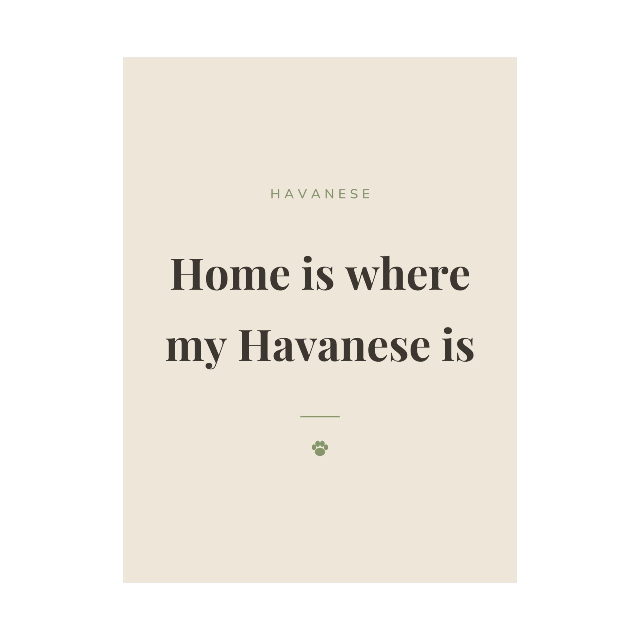 Havanese Art Print — Home is where my Havanese is