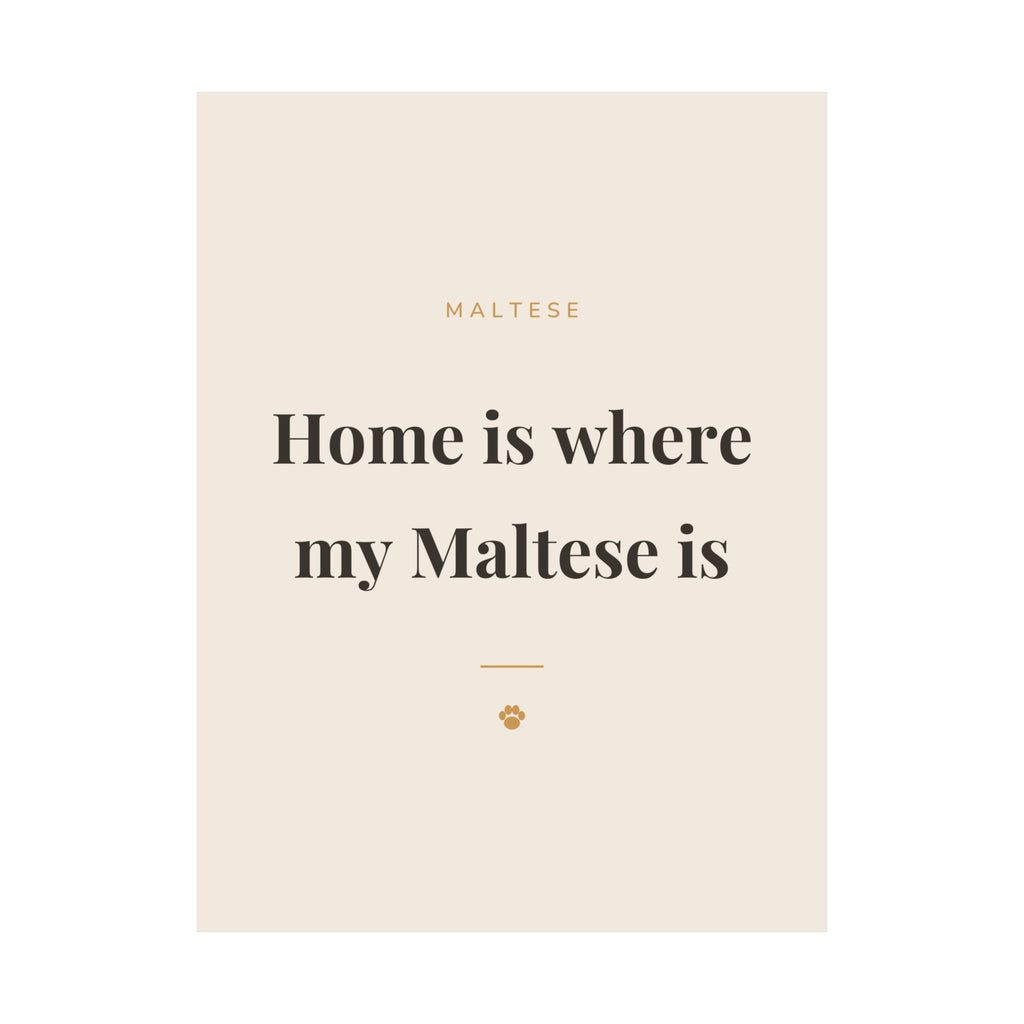 Maltese Art Print — Home is where my Maltese is