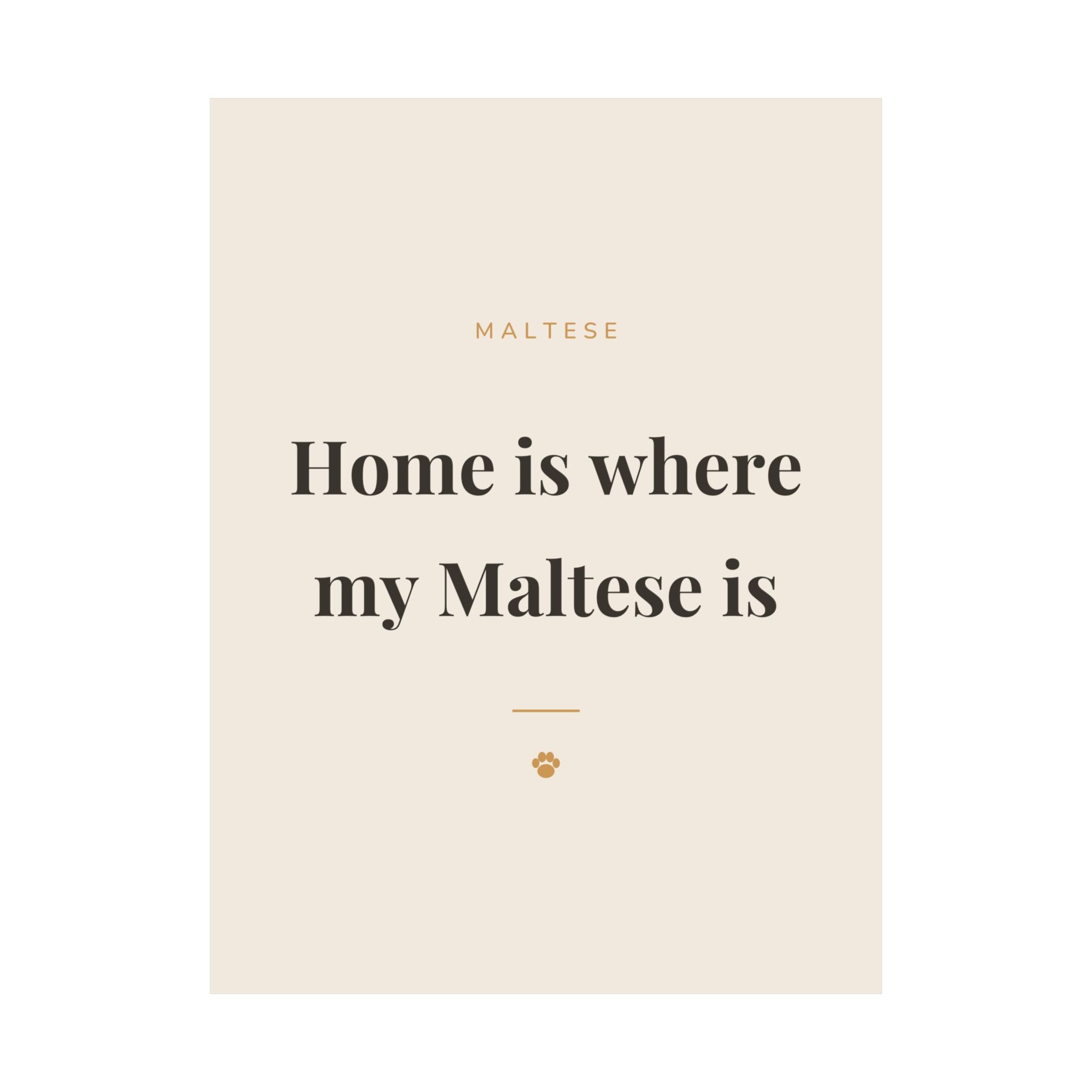 Maltese Art Print — Home is where my Maltese is